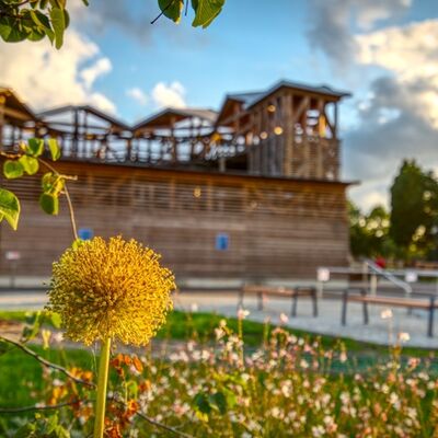 Bibelgarten in Kevelaer; Bildquelle: Sebastian Swertz und Tourismusamt Kevelaer